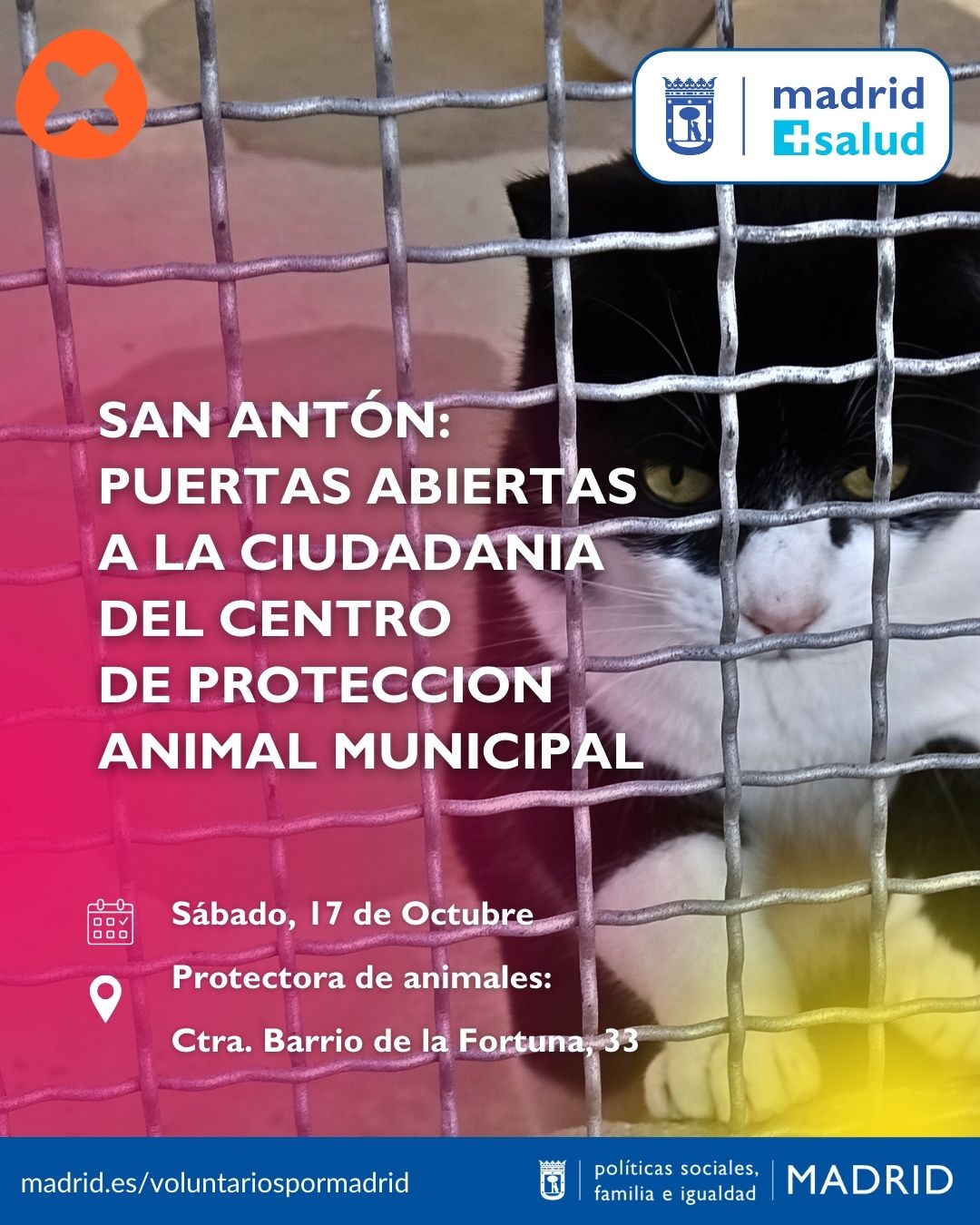 CPA_JORNADA_PUERTAS_ABIERTAS_ENERO_2026_SAN_ANTON_(1)