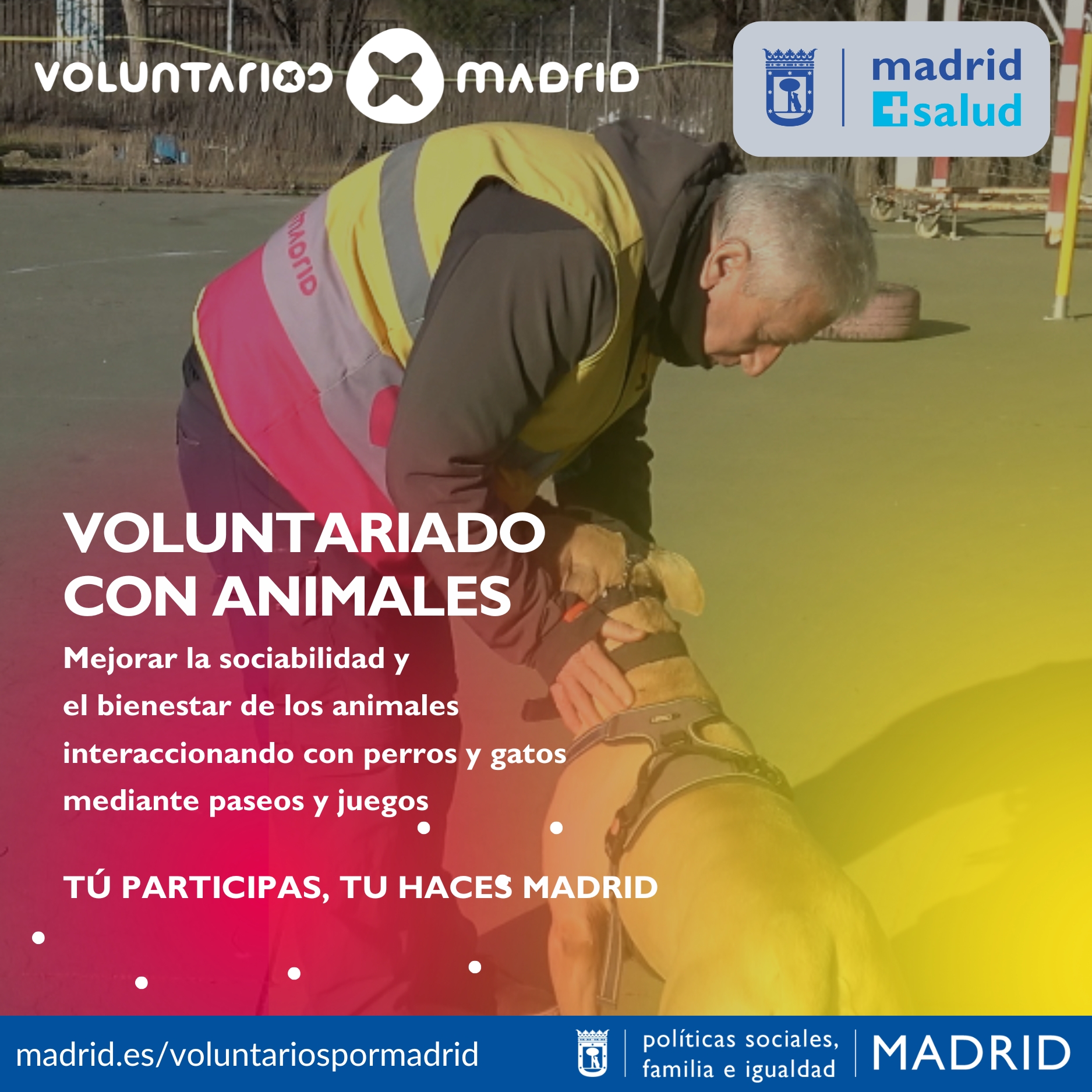 WEB_VOLUNTARIADO_CON_ANIMALES_2025_(2)