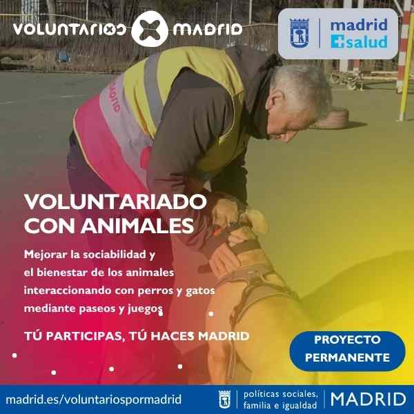 WEB_VOLUNTARIADO_CON_ANIMALES_2025_(3)