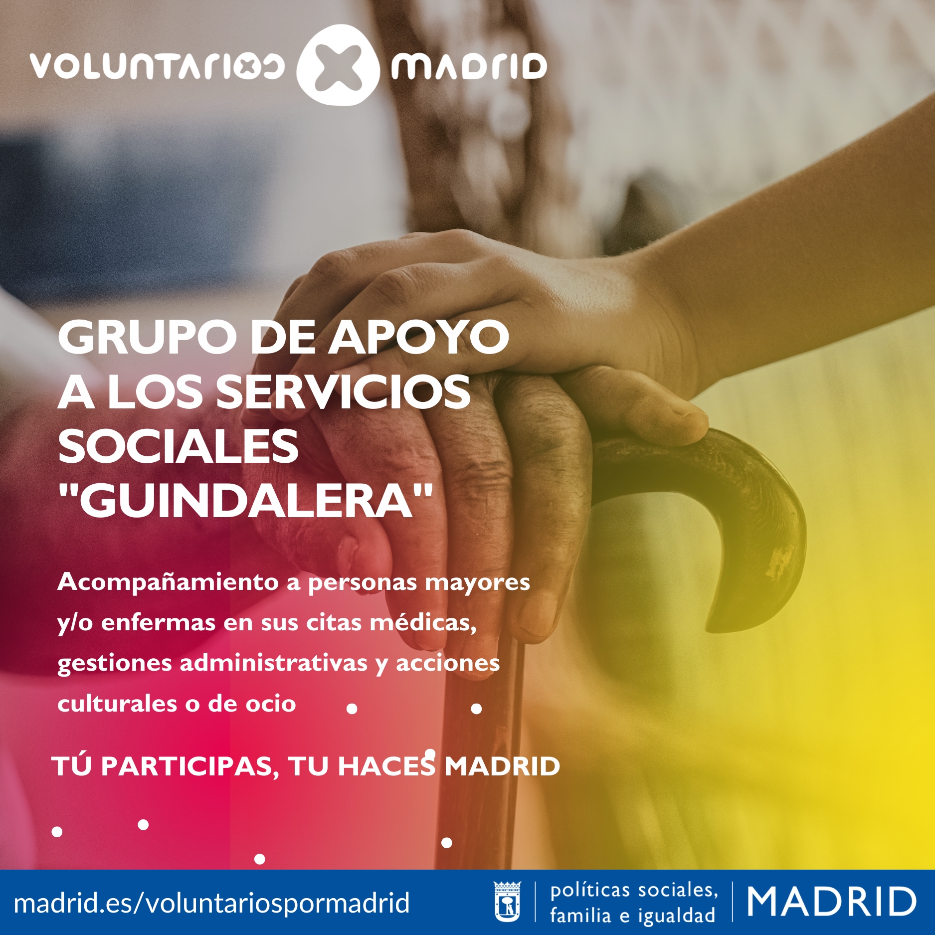 WEB_Grupo_de_apoyo_a_los_Servicios_Sociales_Guindalera