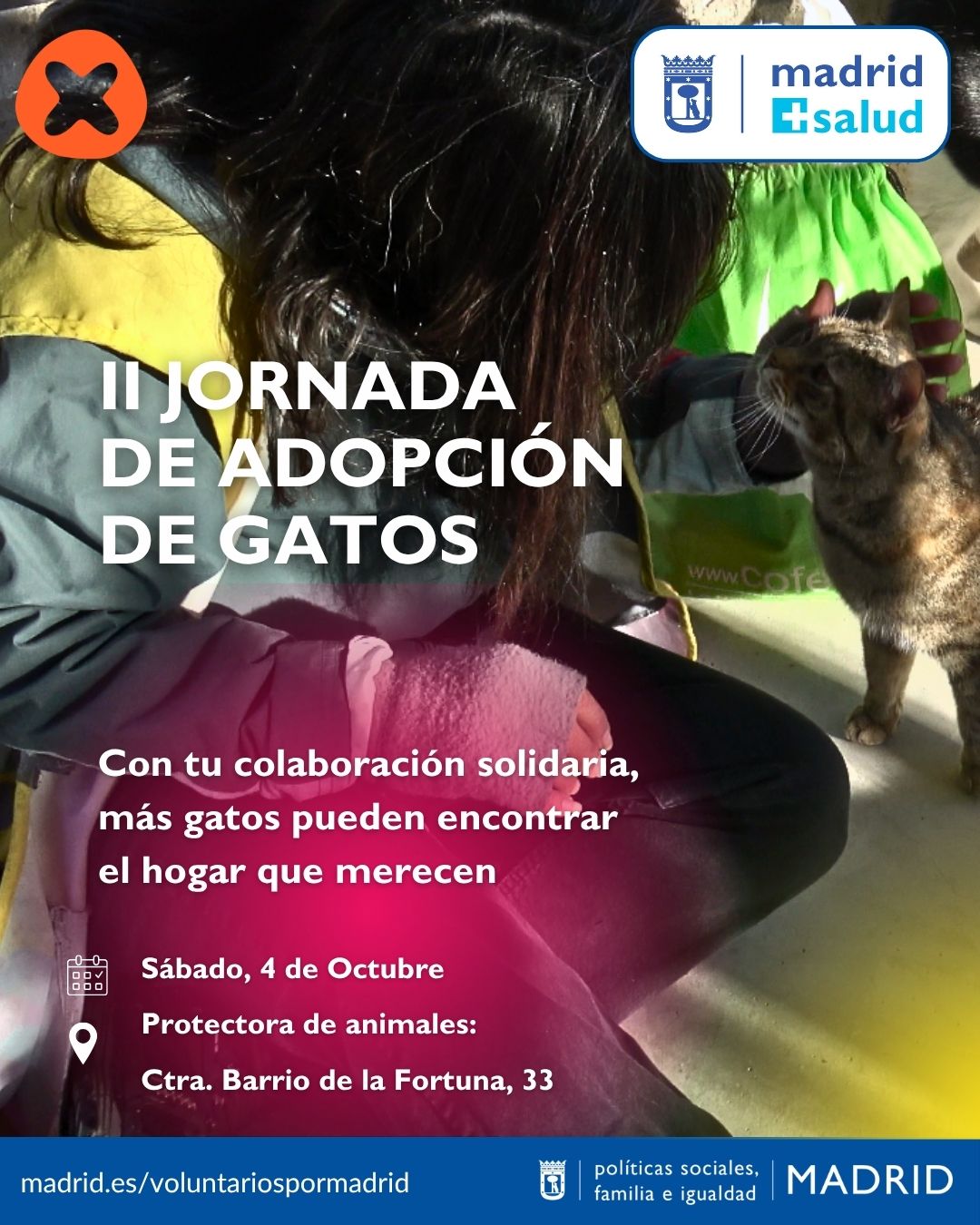 II_JORNADA_ADOPCION_GATOS_OCTUBRE_2025_CPA