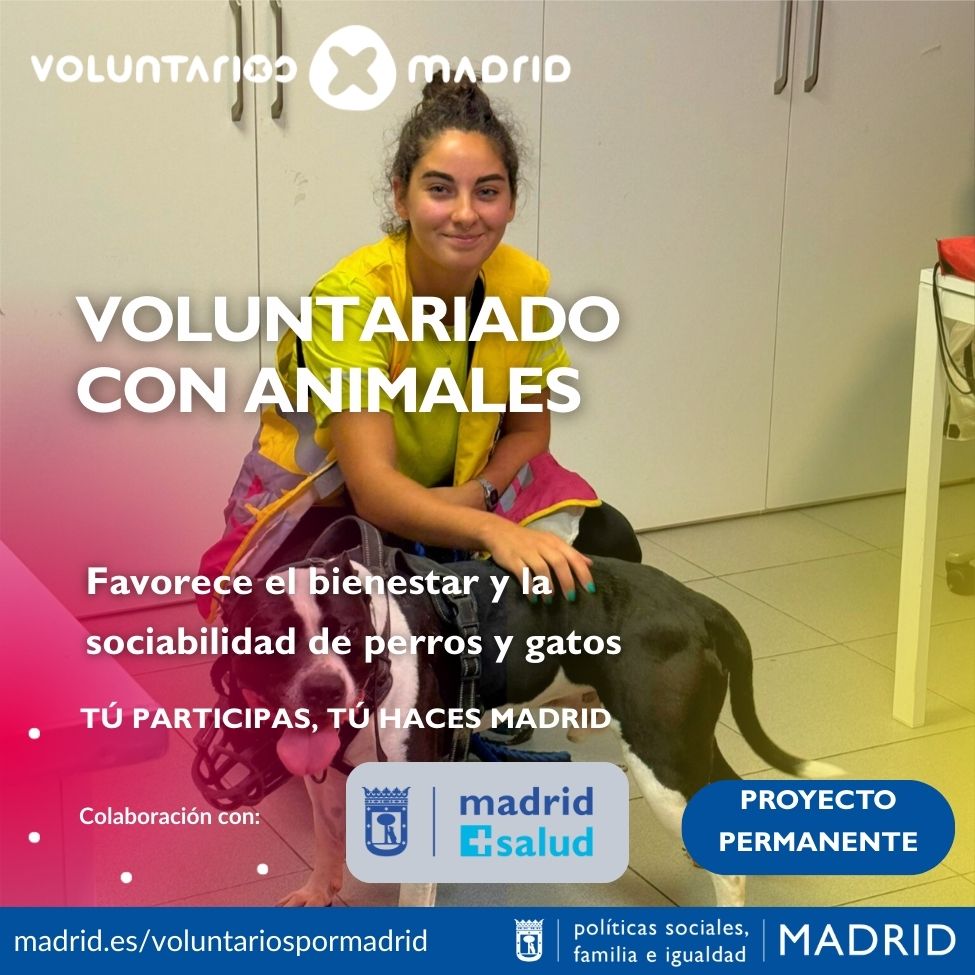 WEB_VOLUNTARIADO_CON_ANIMALES_2025