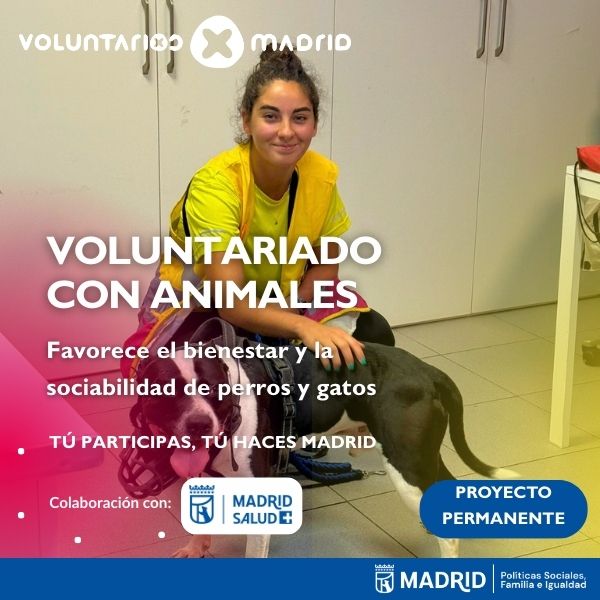 WEB_VOLUNTARIADO_CON_ANIMALES_2026